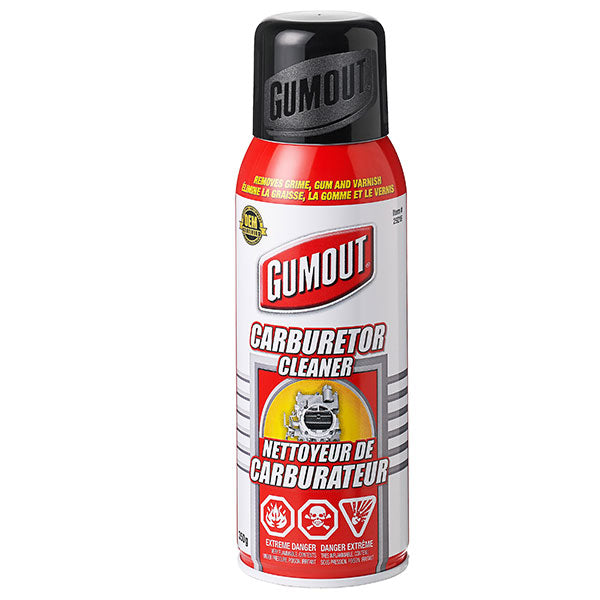 Gumout Carb & Choke Cleaner (29216)